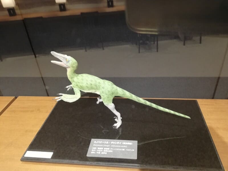 シノベナートル