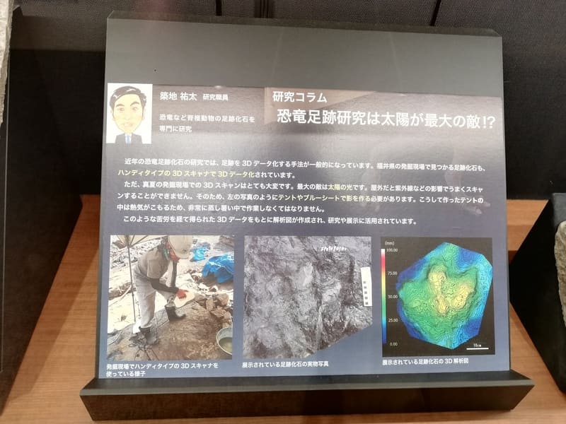 恐竜足跡研究は太陽が最大の敵！？