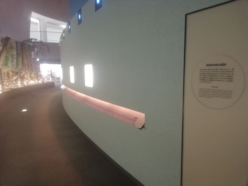 地球史年表46億年