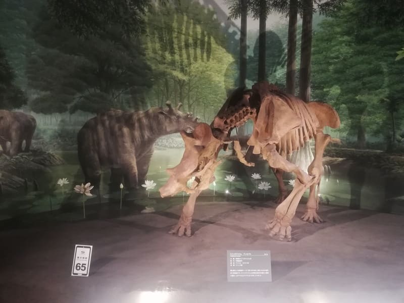 ウインタテリウム