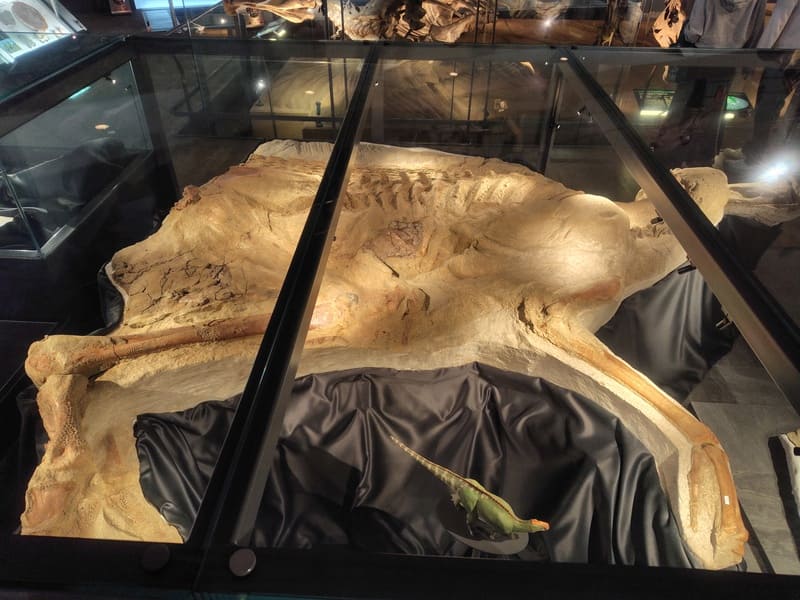 ブラキロフォサウルス