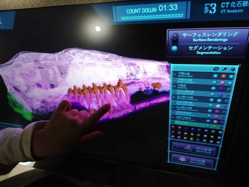 化石研究体験　CT化石データ観察
