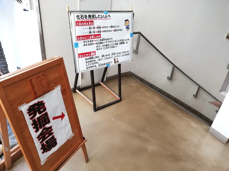 化石発掘会場への階段