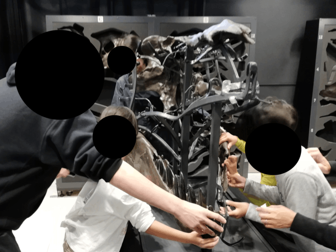 化石研究体験　T.rex頭骨復元