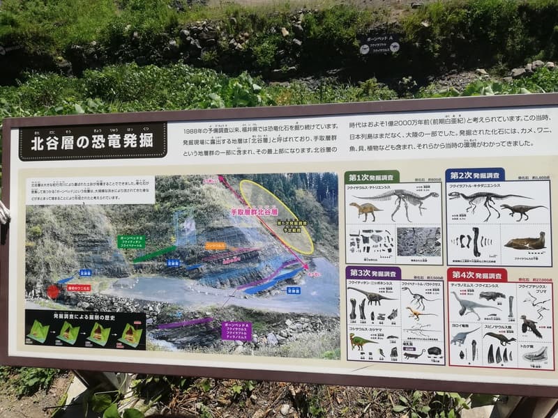 北谷層の恐竜発掘
