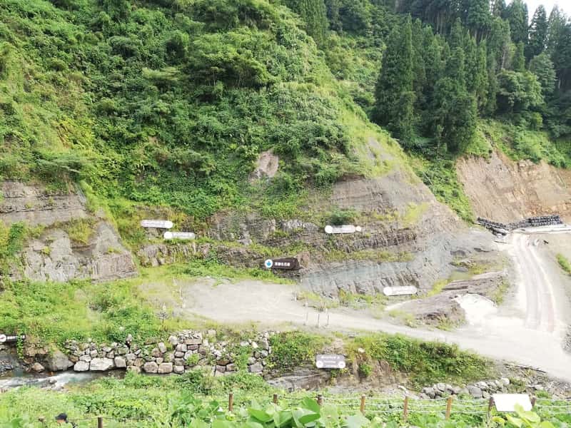 野外恐竜博物館 手取層群北谷層