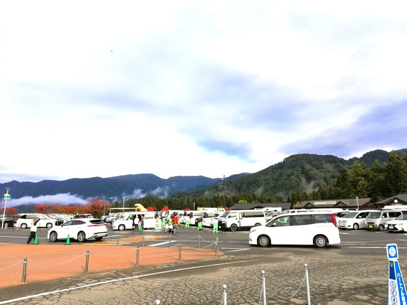 福井県立恐竜博物館　駐車場　混雑