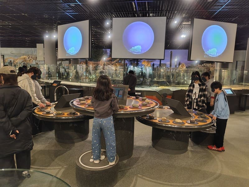 石を調べる 岩石テーブル