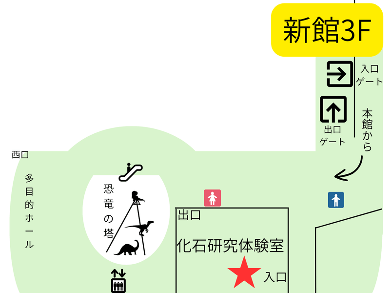 福井県立恐竜博物館　フロアガイド　新館3F　化石研究体験室　受付カウンター