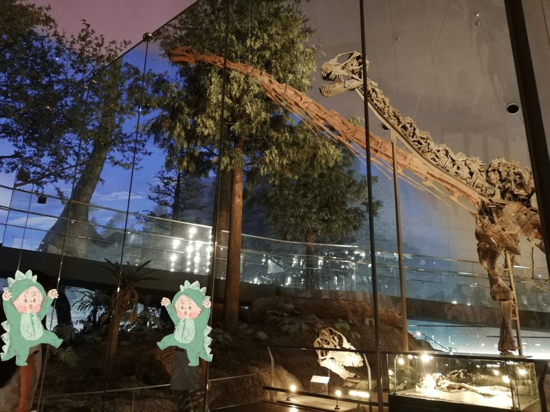 福井県立恐竜博物館 カマラサウルス 鏡 自撮り