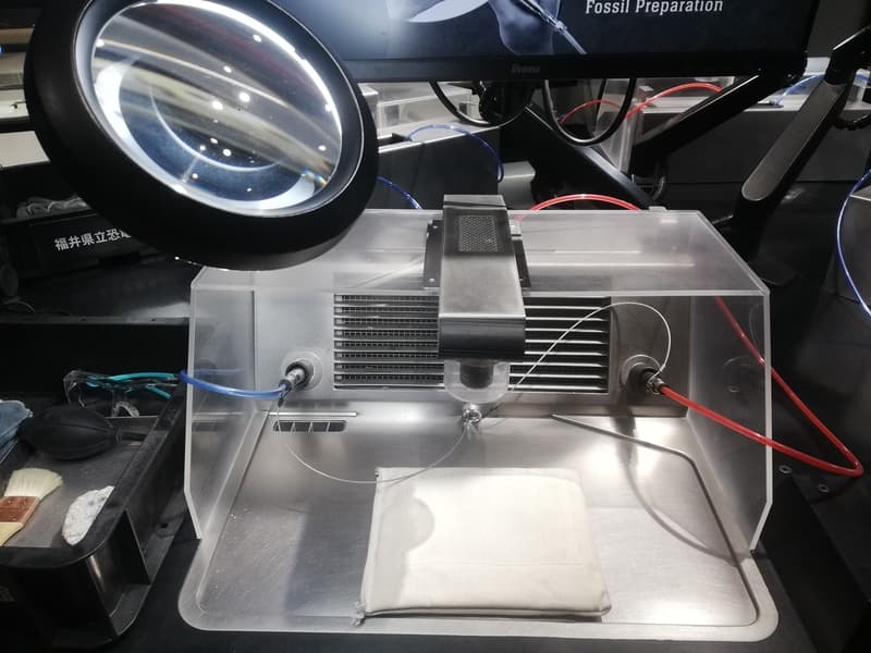 化石研究体験　化石クリーニング