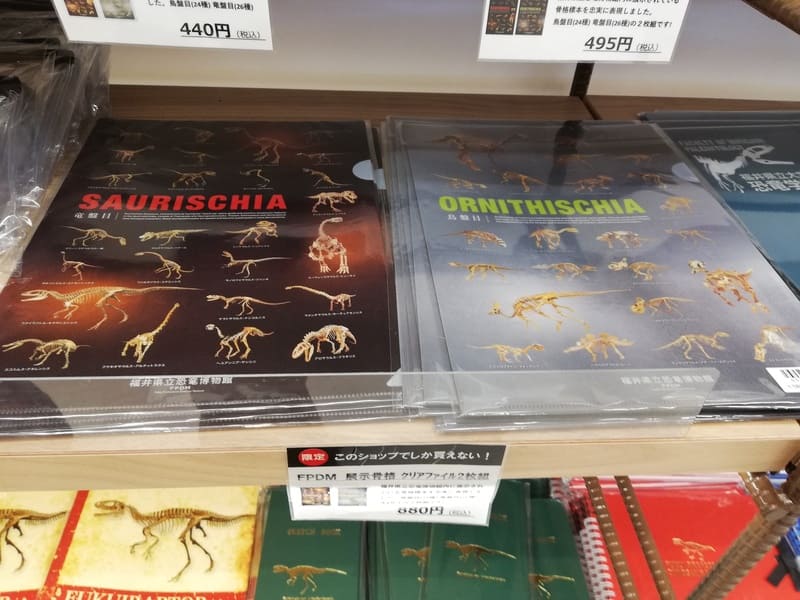 【ショップ限定】クリアファイル展示骨格2枚組