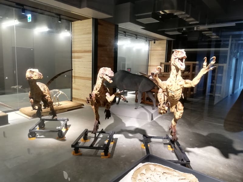 デイノニクス復元模型