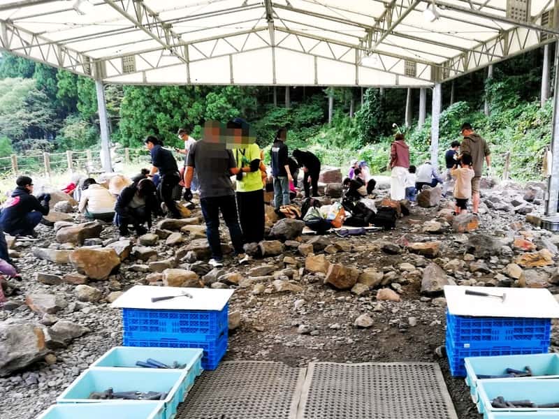 野外恐竜博物館　化石発掘体験広場