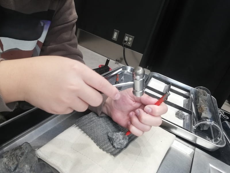 化石研究体験　化石発掘プラス