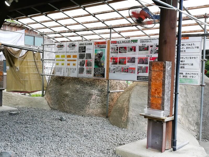 どきどき恐竜発掘ランド発掘会場