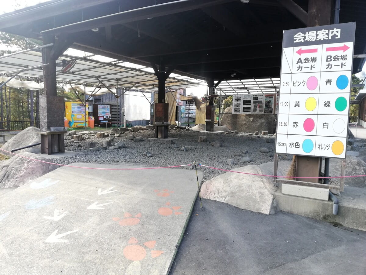 どきどき恐竜発掘ランド　化石発掘会場