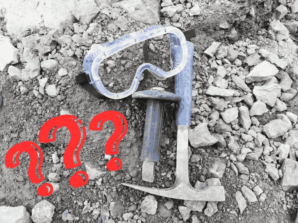 化石発掘　質問