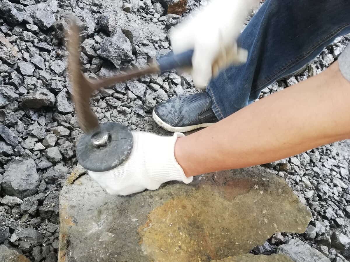 野外恐竜博物館　化石発掘