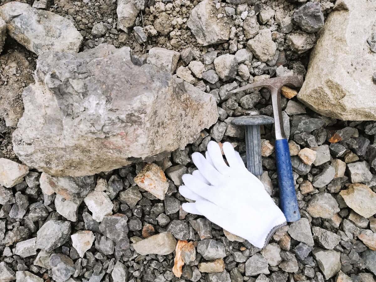 どきどき恐竜発掘ランド　野外恐竜博物館　化石発掘