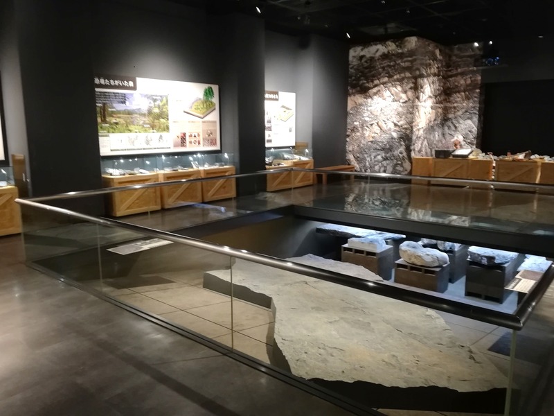 野外恐竜博物館　展示場　　