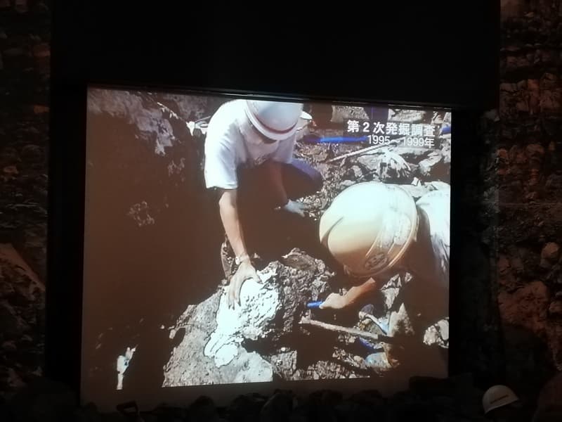 野外恐竜博物館　福井県　発掘調査　歴史が分かるビデオ
