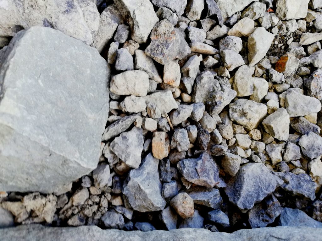 化石発掘体験広場の石