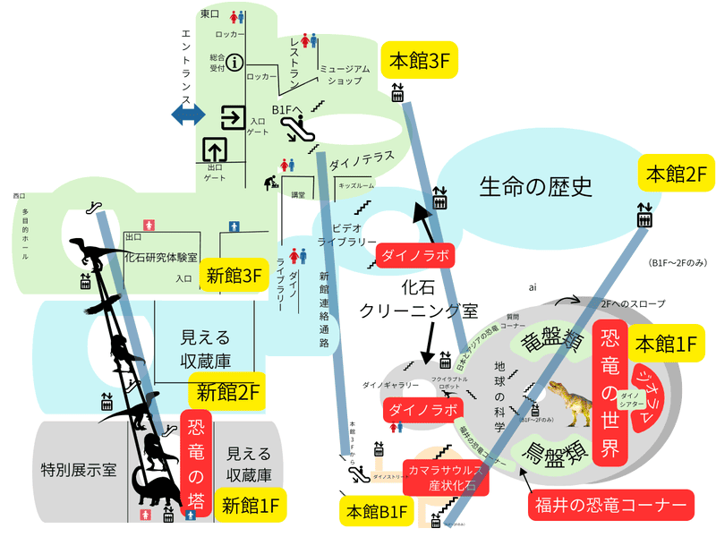 福井県立恐竜博物館　フロアマップ（全体）