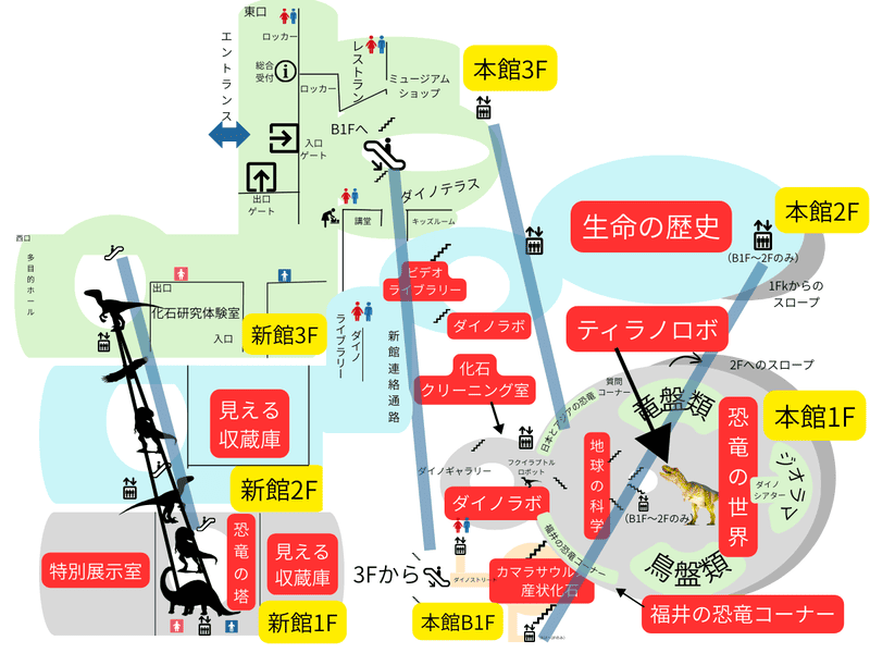 福井県立恐竜博物館 フロアマップ(全体)