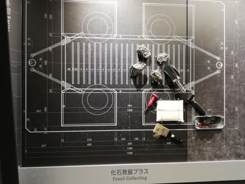 化石研究体験前の展示