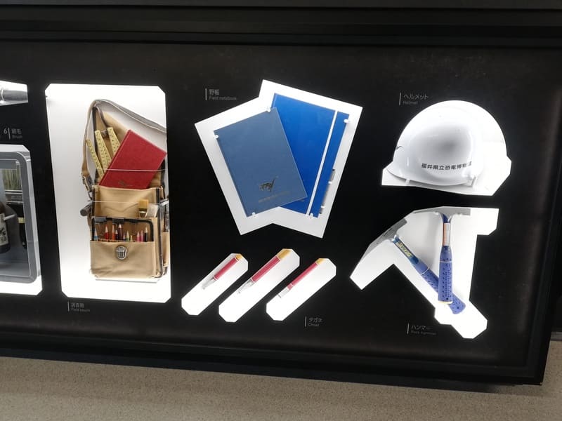 化石研究体験前の展示