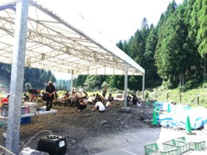 野外恐竜博物館　化石発掘体験
