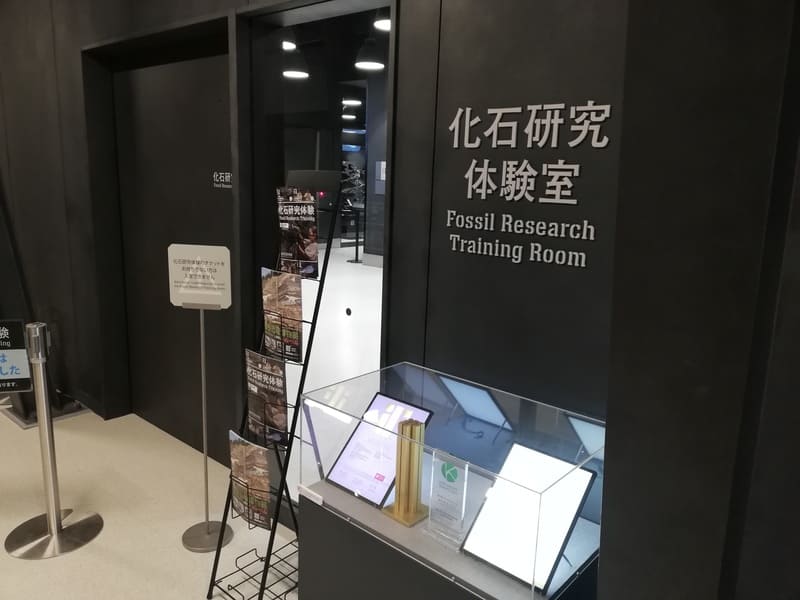 化石研究体験室