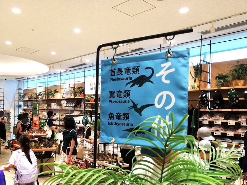 首長竜類/翼竜類/魚竜類コーナー