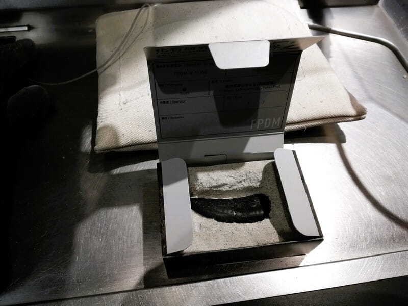 化石研究体験　レプリカ　収納ボックス