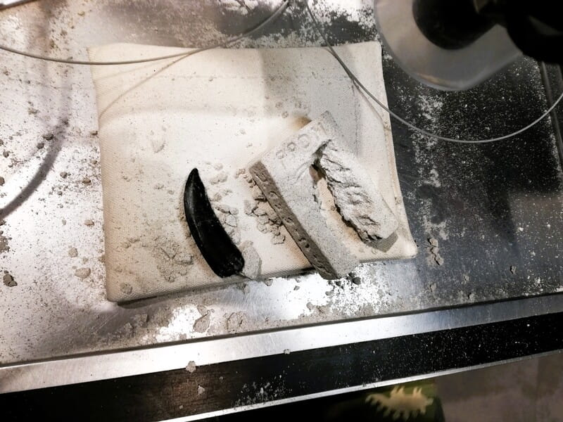 化石研究体験　レプリカ