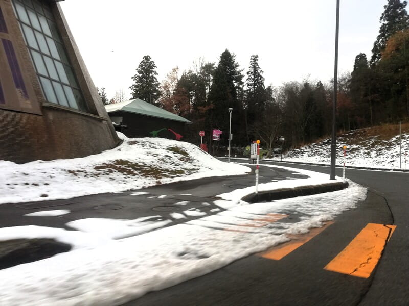 福井県立恐竜博物館　積雪　道路