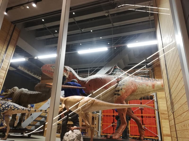 作業中の見える収蔵庫