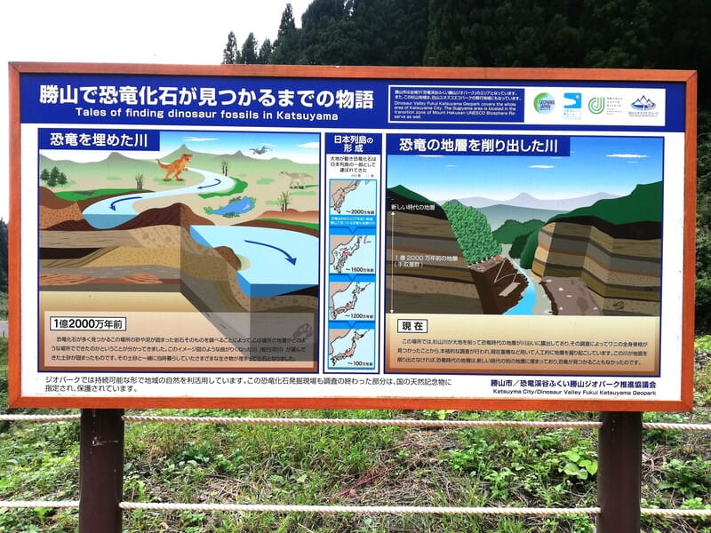 恐竜化石が見つかるまでの物語