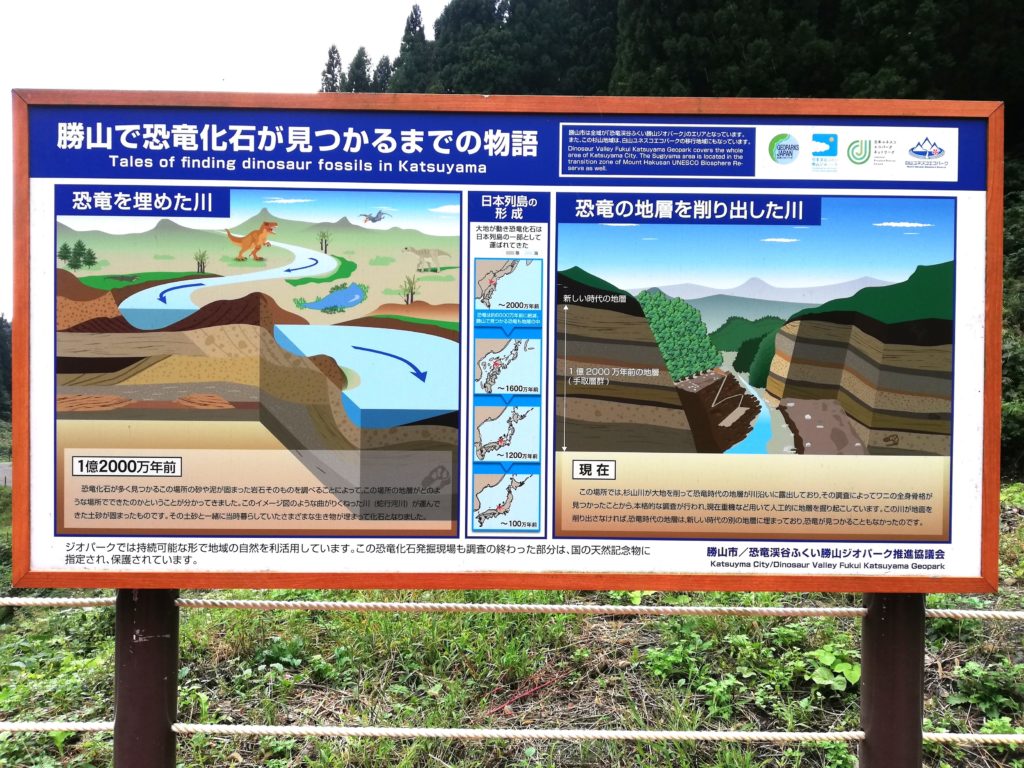 恐竜化石が見つかるまで