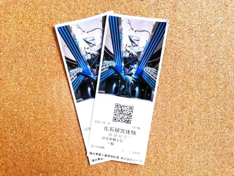 化石研究体験　当日券