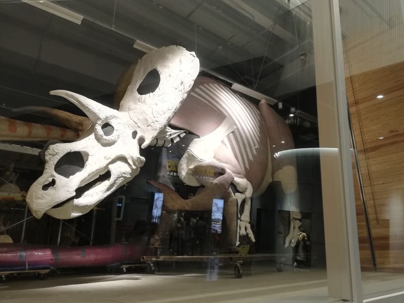 トロサウルスの復元模型