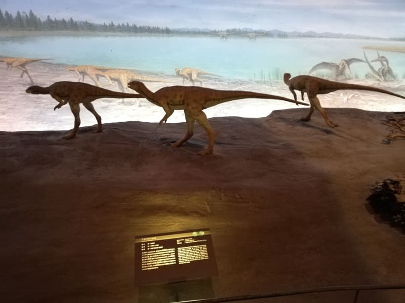 アギリサウルス