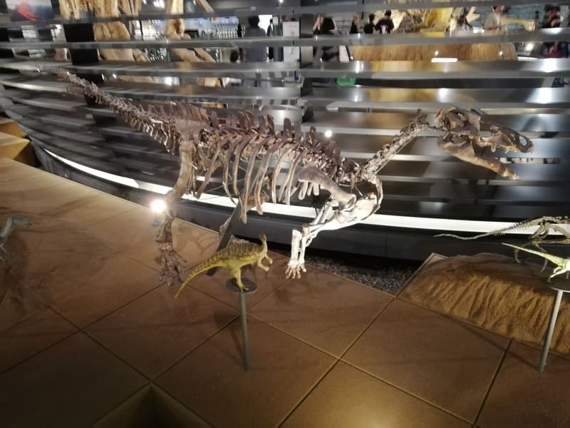 カンプトサウルスの一種