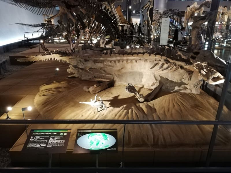 ミイラ化したエドモントサウルス