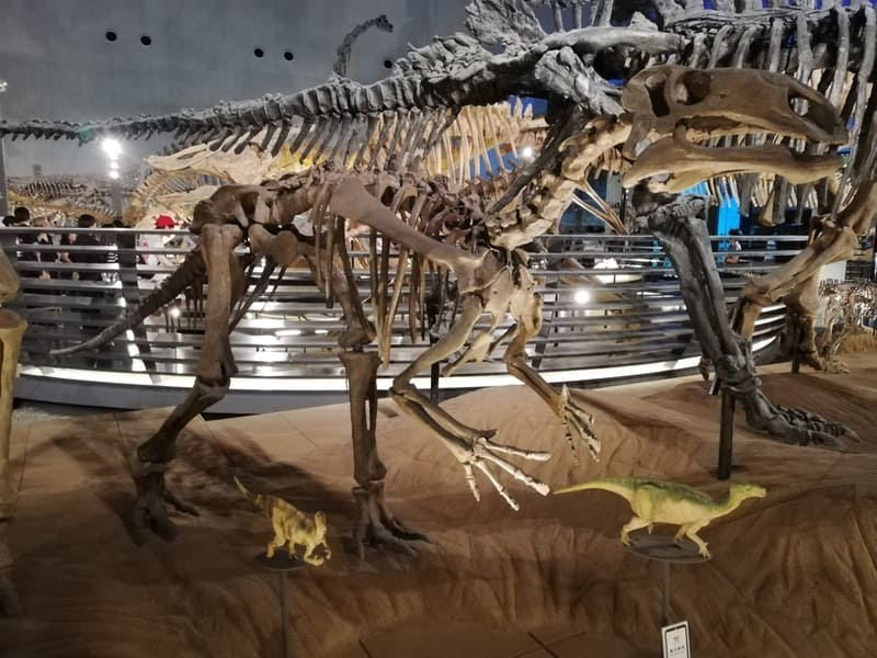 マンテリサウルス