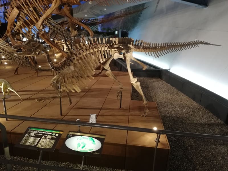 ニッポノサウルス