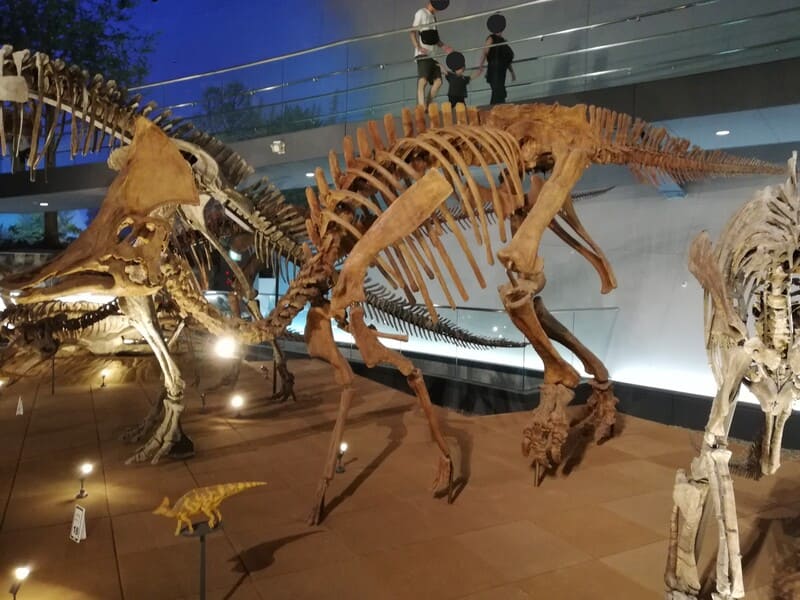 オロロティタン