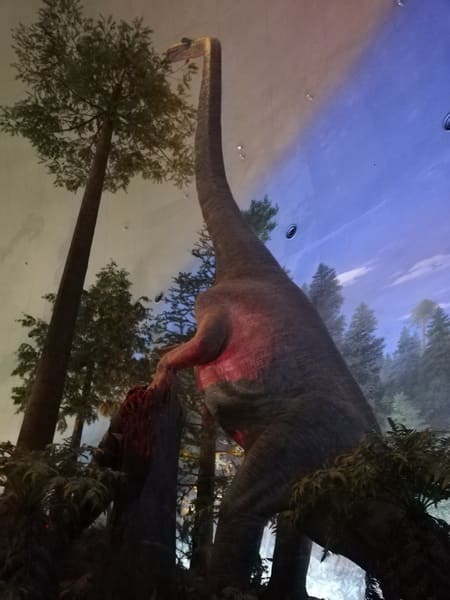 オメイサウルス