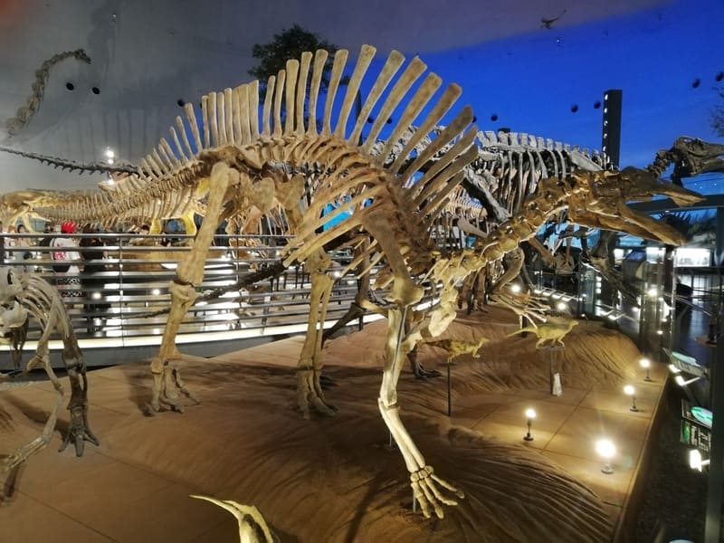 オウラノサウルス